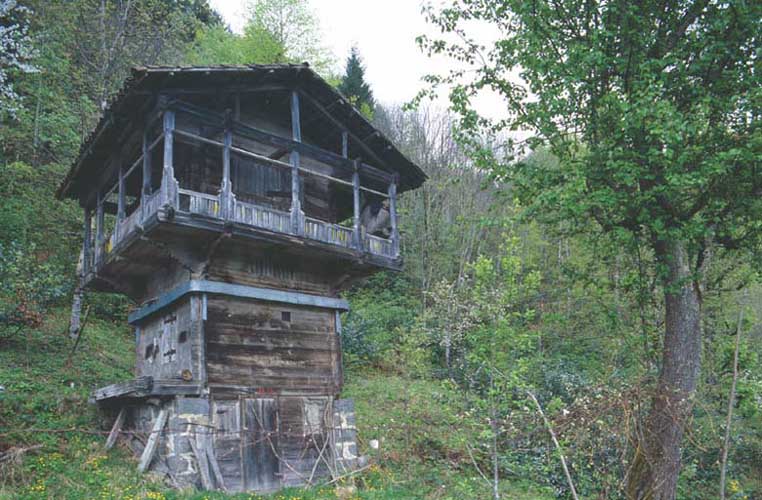 Eastern Black Sea House