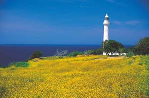 Light Houses Along Turkish Coast Line 