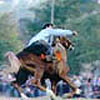 Cirit A Traditional Turkish Equestrian Sport
