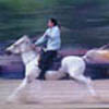 Cirit A Traditional Turkish Equestrian Sport