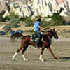 Cirit A Traditional Turkish Equestrian Sport