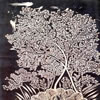 A Kaati Art With Foliate Motifs