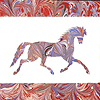 The Turkish Art of Marbling