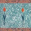 Cicekli Lale, Turkish Marbling Ebru