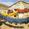 Drying Newly Dyed Wool