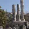 Columns of the Apollo temple in Assos