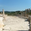 Patara