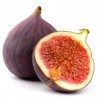 Fig