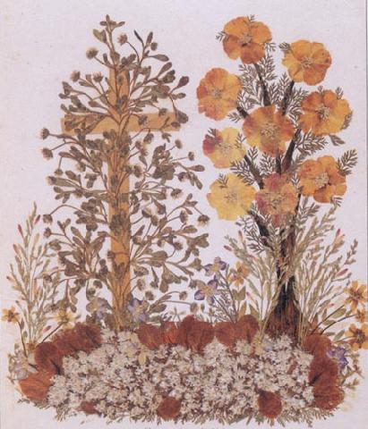 Dried Flower Arrangements, Flowers From Bethlehem