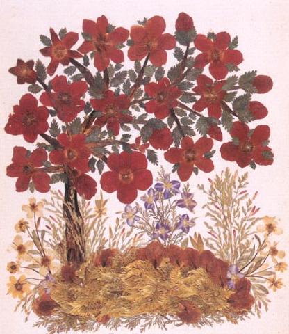 Dried Flower Arrangements, Flowers From Mount Moriah